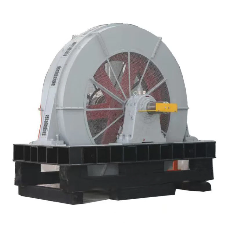 Large Synchronous Motor