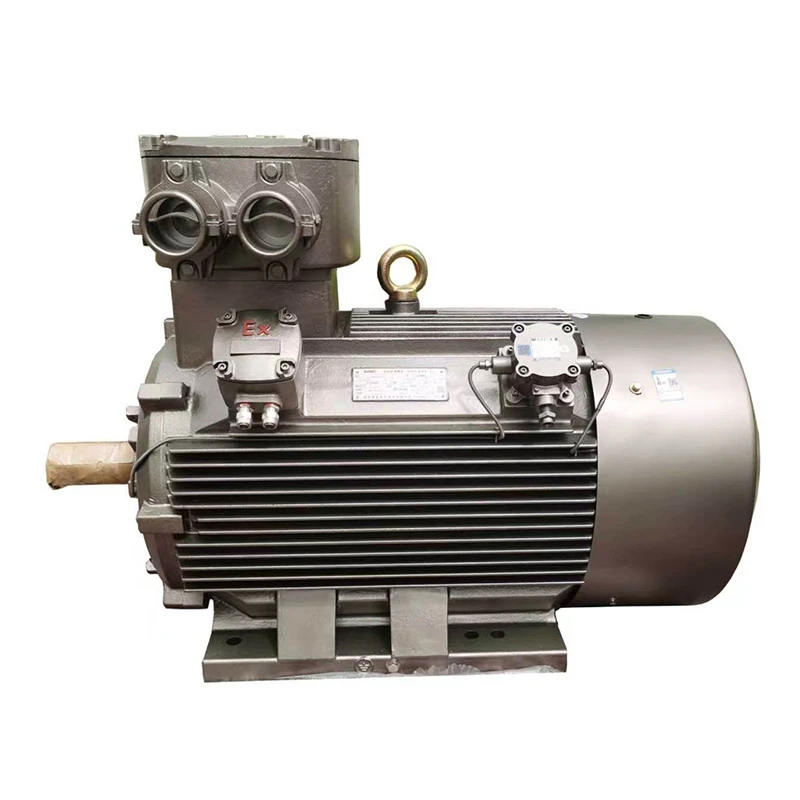 Explosion Proof Motor