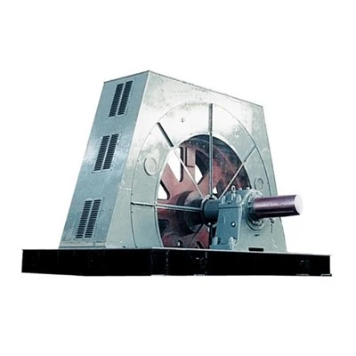 TK Series 6kv Synchronous Motor