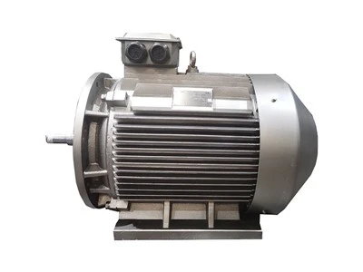 YE5 High Efficiency Ac Motor