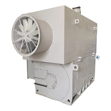 YJTKK 10kv Motor