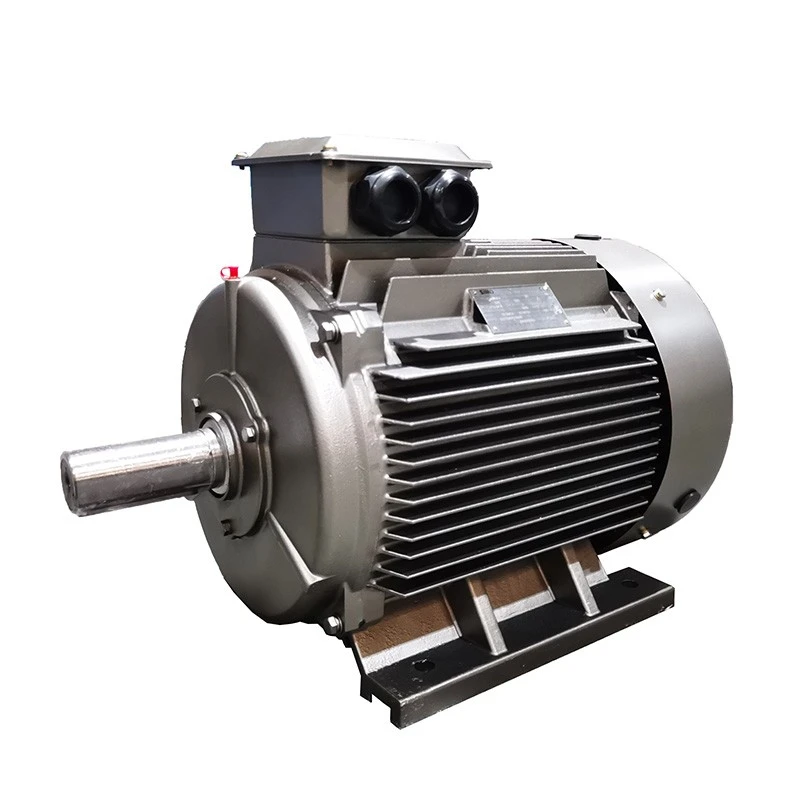 YE3 Energy Efficient Motor